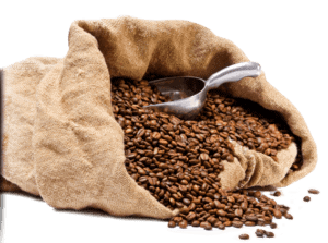 open burlap bag of roasted coffee with a silver scoop