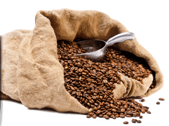 open burlap bag of roasted coffee with a silver scoop