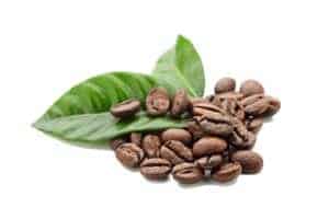 roasted decaf coffee on two green leaves