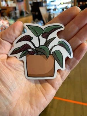 Vinyl Sticker Congo Rojo Plant