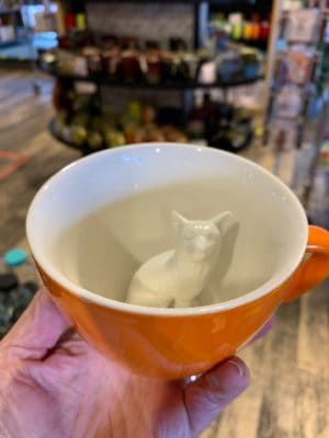 Creature Cup Fox Orange