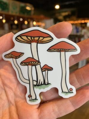 Vinyl Sticker Mushroom Cluster