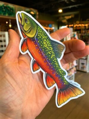 Sticker Brook Trout