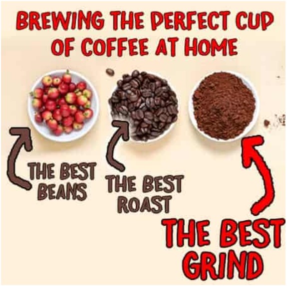 Cup of coffee cherries, cup of coffee beans and a cup of coffee grounds