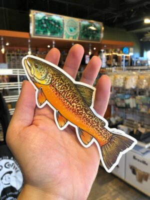 Hand holding a picture of a tiger trout