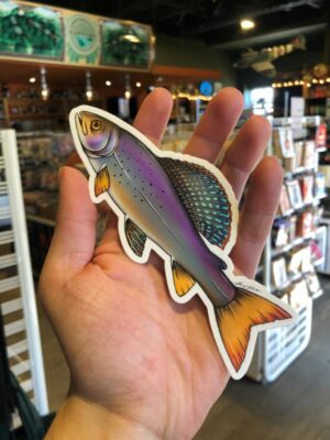 Hand holding a sticker of a greyling trout