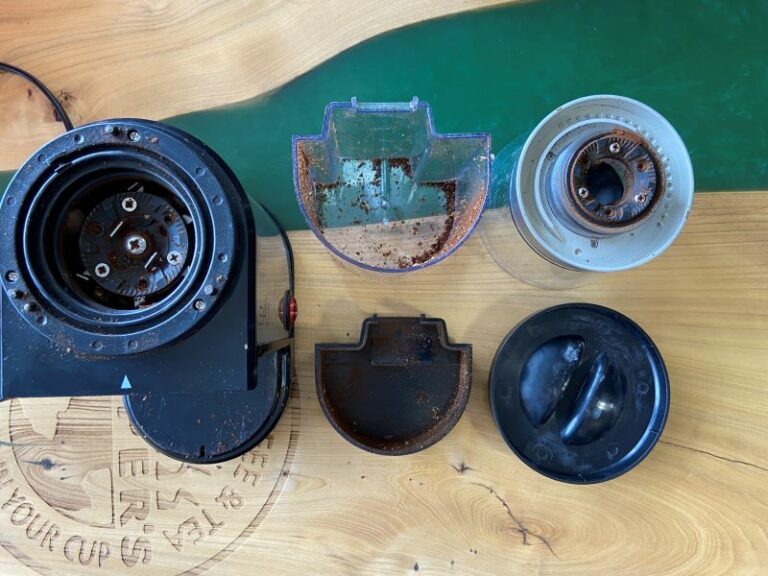 Coffee Grinder disassembled down to the burrs