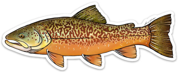 Vinyl Sticker Tiger Trout