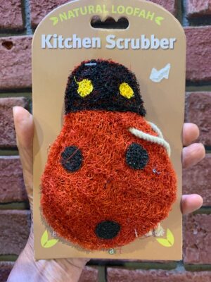 Loofah Art Ladybug