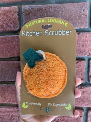 Loofah Art orange with green stem