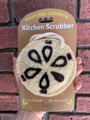 Loofah Art Sand Dollar