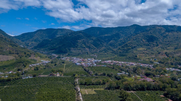 Jamaican town and forested mountains