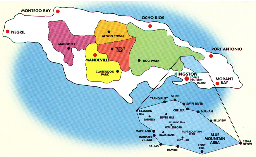 Simple map showing the regions of Jamaica including the blue Mountain area