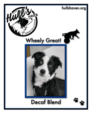 Hull's Haven Decaf Decaffeinated Coffee Blend, featuring a black and white Border Collie with a blue and a green eye.