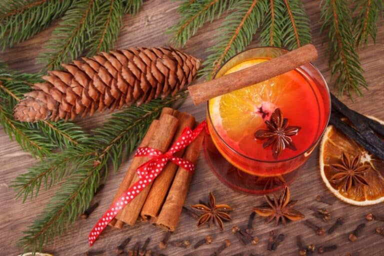 Hot apple cider toddy with a pinecone, cinnamon sticks, anise and pine branches from cocktail recipe.