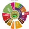 Coal Banks Joe Dark Roast Coffee flavour wheel