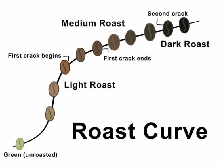 The curve coffee makes when roasting, showing the colour change of the green to brown bean