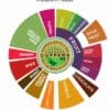 Colombia Supremo Medium Roast Coffee flavour wheel