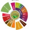Duke's Light Roast Coffee flavour wheel