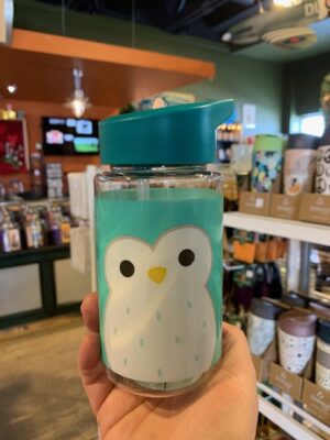 Squishmallow Winston Owl Water Bottle