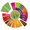 Sumatra Decaf Decaffeinated Dark Roast Coffee flavour wheel