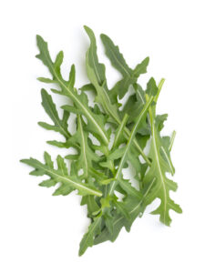 Bitter arugula greens