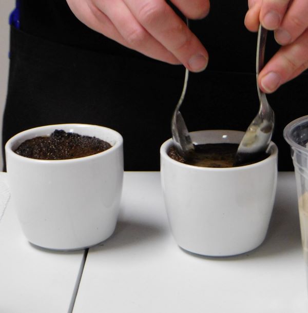 hands breaking the crust formed after pouring hot water over coffee grounds in a white cup as part of the coffee cupping process