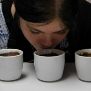 A young woman smelling coffee grounds in white cups as part of a coffee cupping process