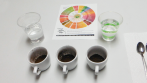 The Cuppers layout for cupping coffee with mugs, ground coffee, water and a Coffee Flavour Wheel