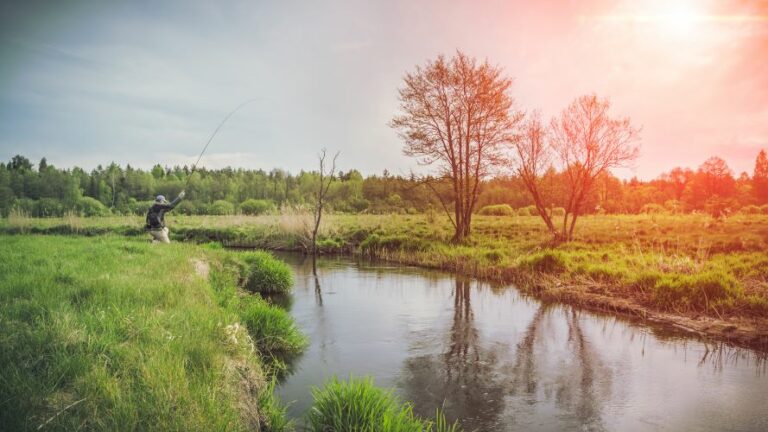 Fly fishing on a river with a tree across the water