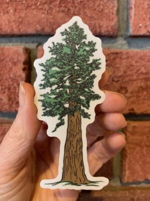 sticker redwood tree