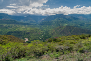 Colombia mountains and hills, covered in trees and brush