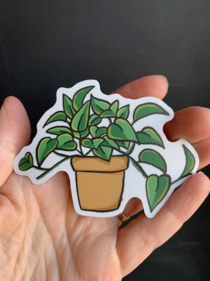 Sticker with a potted pothos vine