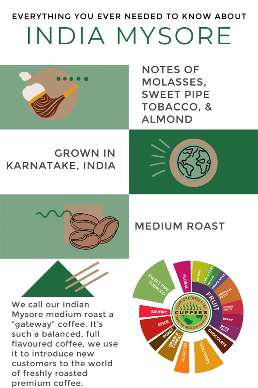 Guide to Indian Coffee Mysore infographic