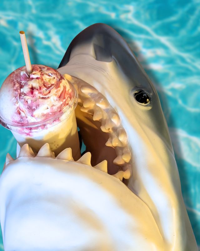 A shark's head with an ice cream float in it's teeth