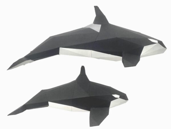 Poly Papercraft folded paper two swimming orcas