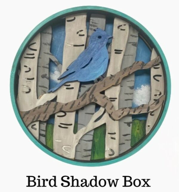 Shadow Box Bird DYI Paint by numbers kit