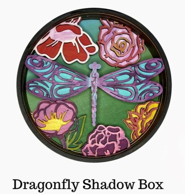 Shadow Box Dragonfly DYI Paint by numbers kit