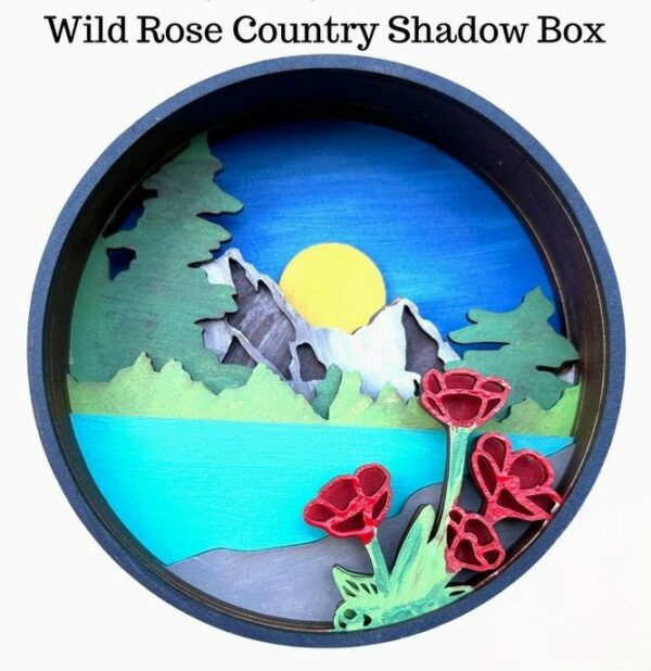 Shadow Box Wild Rose Country DYI Paint by numbers kit