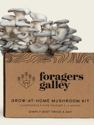 Foragers Galley Blue Oyster Grow at Home Mushroom Kit with sprouted mushroom