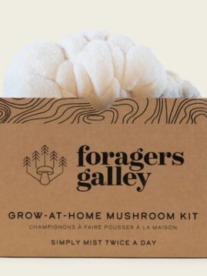 Foragers Galley Lion's Mane Grow at Home Mushroom Kit with sprouted mushroom