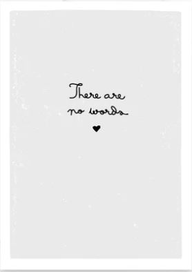 Prairie Chick Cards with grey front and text "There are no words", blank inside