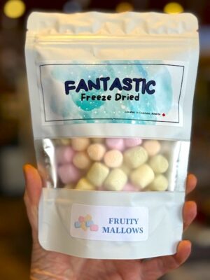 Fantastic Freeze Dried Fruity Marshmallow Minis