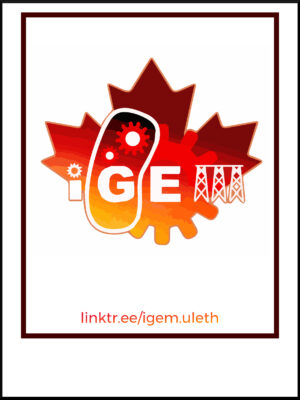Fundraising coffee sold to support the University of Lethbridge iGem. Graduated red maple leaf logo with gears and the high level bridge as the M in iGem