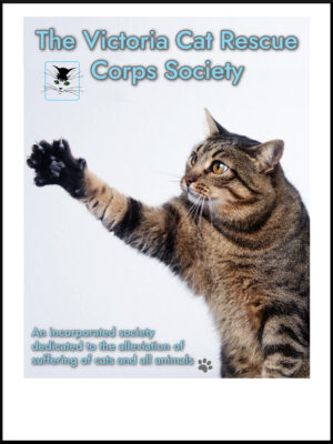 Victoria Cat Rescue Corps Society Coffee fundraising label, featuring a tabby cat reaching out with claws extended