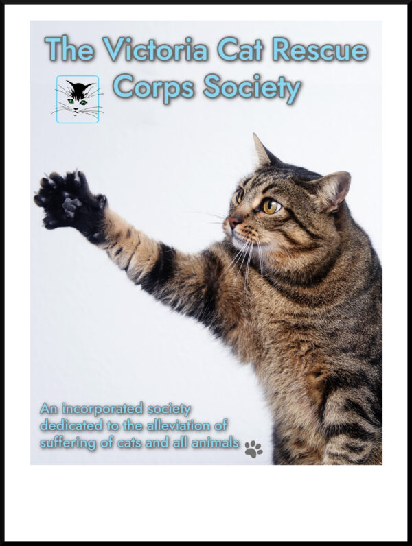 Victoria Cat Rescue Corps Society Coffee fundraising label, featuring a tabby cat reaching out with claws extended
