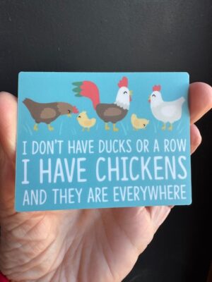 Vinyl sticker with a small flock of chickens and chicks, and text "I don't have ducks or a row. I have chickens and they're everywhere."