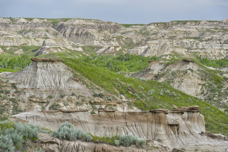 Dinosaur Provincial Park badlands in early summer