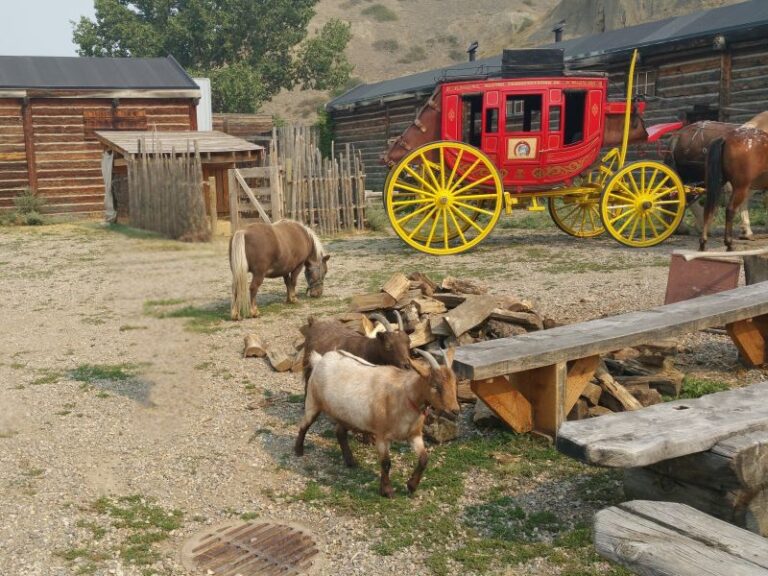 Fort Whoop-Up carriage, goat and pony