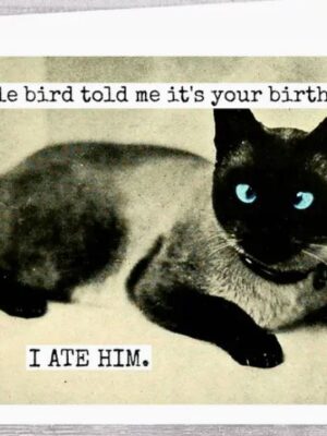 Raven's Rest Studio Cards - A Little bird told me it's your birthday